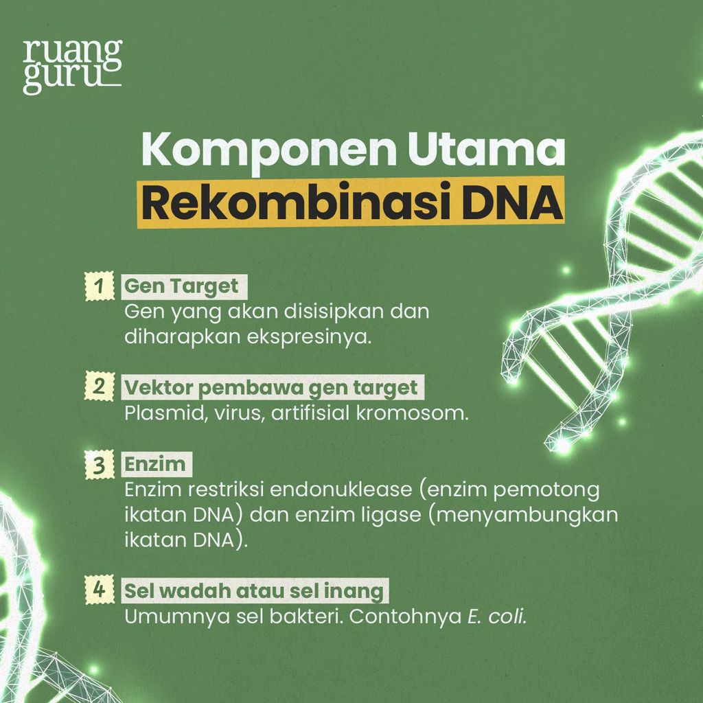 Bioteknologi Modern: Pengertian, Ciri, Manfaat & Contoh Produk ...